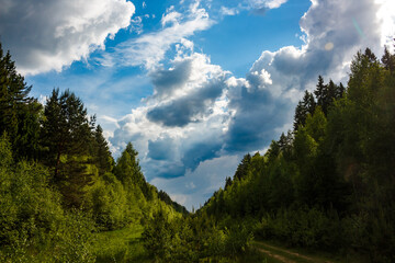Cumulus clouds cover the blue sky above the forest