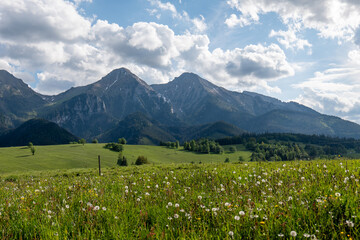 View of the High Tatras with peaks Ždiarska vidla and Havran, captured from a green meadow under a partly cloudy spring sky near Ždiar village, Slovakia. © Marek