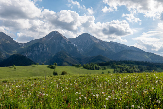 View of the High Tatras with peaks Ždiarska vidla and Havran, captured from a green meadow under a partly cloudy spring sky near Ždiar village, Slovakia.