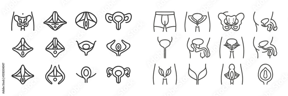 Poster Collection of minimalistic line drawings representing human anatomy and reproductive systems in a simple and artistic style