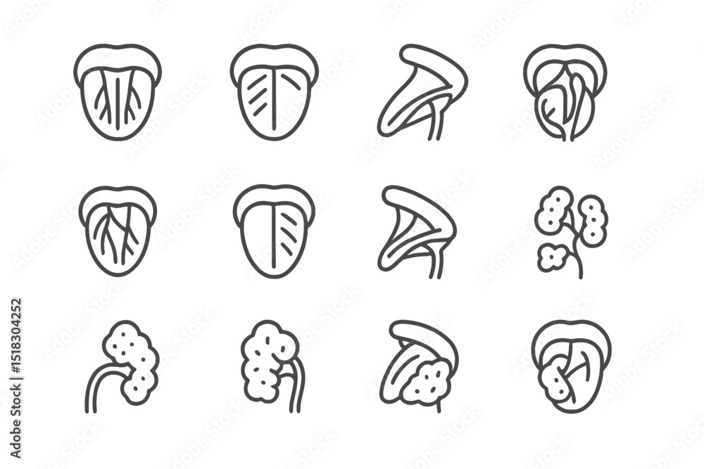 Poster Different types of plant leaf and flower outlines displayed in a grid format with minimalistic design elements