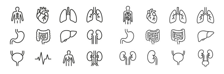 Illustrations of human organs and systems showcasing anatomy in a simplified, clear format in a sleek monochrome design