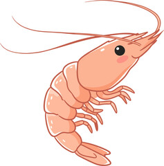 Simple Baby Shrimp Line Art Vector Drawing