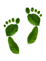 Green Leaf Footprints | Eco Friendly Footprint Concept on White Background