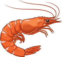 Editable Vector Shrimp Isolated on White Background