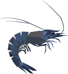 geometric shrimp, low detail, clean shapes