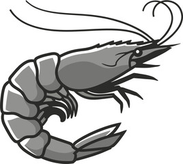 elegant shrimp vector, clean lines, logo style.