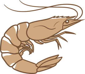 Vector Shrimp Logo with Elegant Line Design