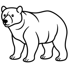 bear-line-art-vector