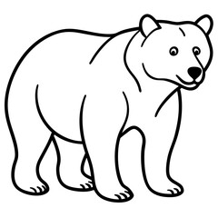 bear-line-art-vector