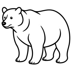 bear-line-art-vector