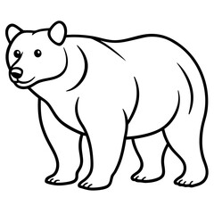 bear-line-art-vector
