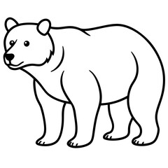 bear-line-art-vector