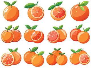 Grapefruit vector illustration isolated on white background.