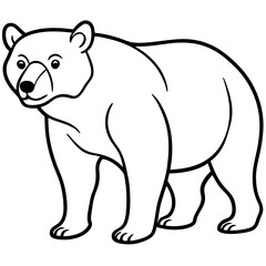 bear-line-art-vector