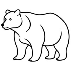 bear-line-art-vector