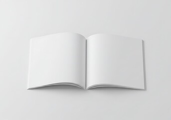 Blank Canvas Awaits