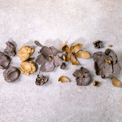 Creating a Clay Flower