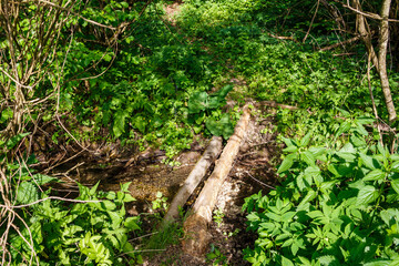 Crossing a small babbling brook in the forest