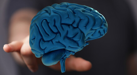 3D brain model in hand.  Concepts: intelligence, neurology, psychology, mind.