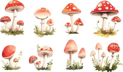 Collection of Colorful Watercolor Mushroom Illustrations with Grass and Plants