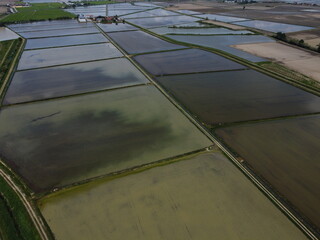 Drone view of Novara’s countryside with flooded rice fields reflecting the sky—iconic of local agricultural land use. © eugpng