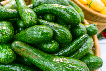 Basket of green avocados