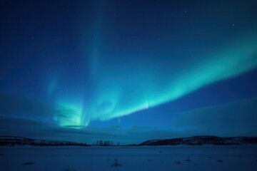 Naklejka premium Aurora borealis illuminating the night sky snowy landscape