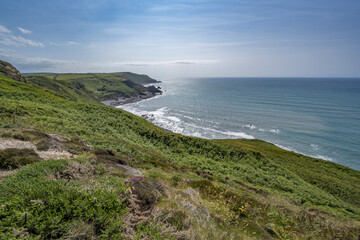 Clifftop of wild flora and view to foxhole point and Millook haven