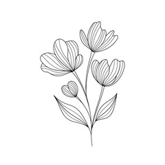 Minimal floral line art ornament with black ink lines on white background, modern Scandinavian style vector illustration for decor