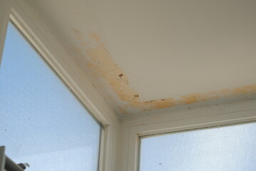 Ceiling mold and water damage near window frame, indicating moisture issues