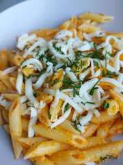 Close up of pasta with romesco sauce with cheese