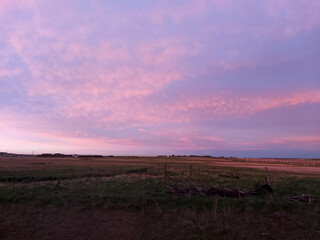 sunrise over the field