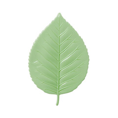 the image features a single, light green leaf set against a stark black background. the leaf has a defined central vein with smaller veins branching out symmetrically on both sides