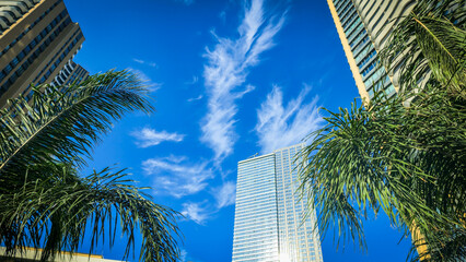 Urban Skyscrapers Framed By Nature