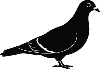 pigeon silhouette vector