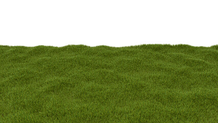 Green Grass Field. 3D Illustration