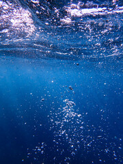 bubbles, bubble, water, underwater, sea, air, deep, undersea, under, background, wave, liquid,...