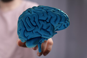 3D model of human brain held in hand.  Perfect for medical, science, or neurology concepts.