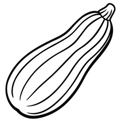 Fresh Zucchini Illustration line art vector 