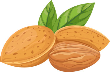 Nutritious almonds featuring vibrant green leaves, displaying both the outer shell and the inner seed, appealing to health conscious consumers seeking wholesome snacks and ingredients