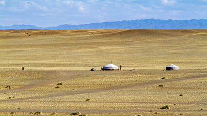Obraz premium Yurt Camp in the Mongolian Gobi desert