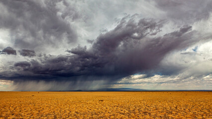 The landscape of the Gobi Desert in Mongolia