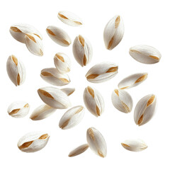 Floating Grains of Barley A Bountiful Harvest