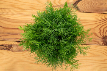 Green fresh dill on a wooden table, macro, top view.