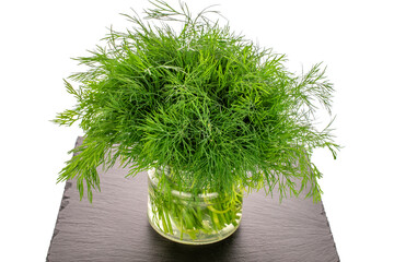 Green fresh dill on slate stone, macro, isolated on white background.