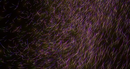 Abstract Purple Yellow Lines Pattern