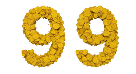 Isolated Autumn Leaves Number 99