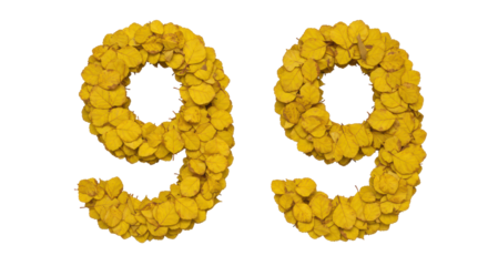 Isolated Autumn Leaves Number 99