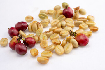 COFFEE CHERRIES AND COFFEE BEANS ON A WHITE BACKGROUND